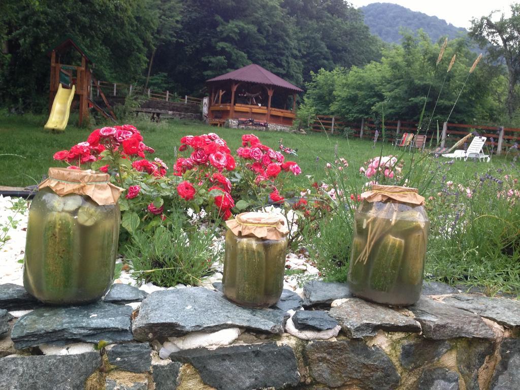 Gasthaus Maria Borlova Esterno foto