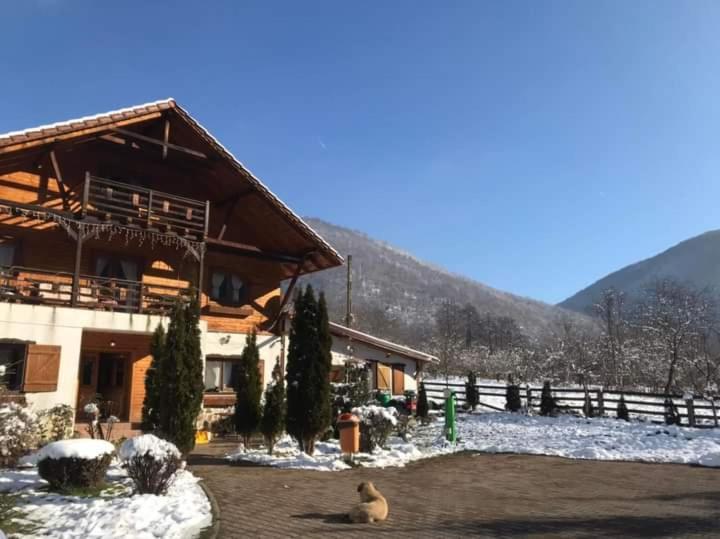 Gasthaus Maria Borlova Esterno foto