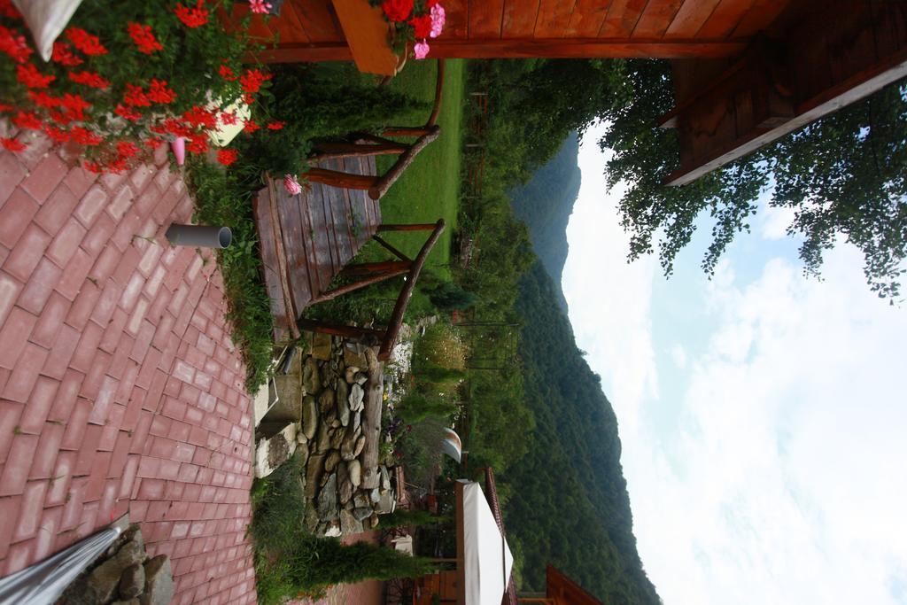 Gasthaus Maria Borlova Esterno foto
