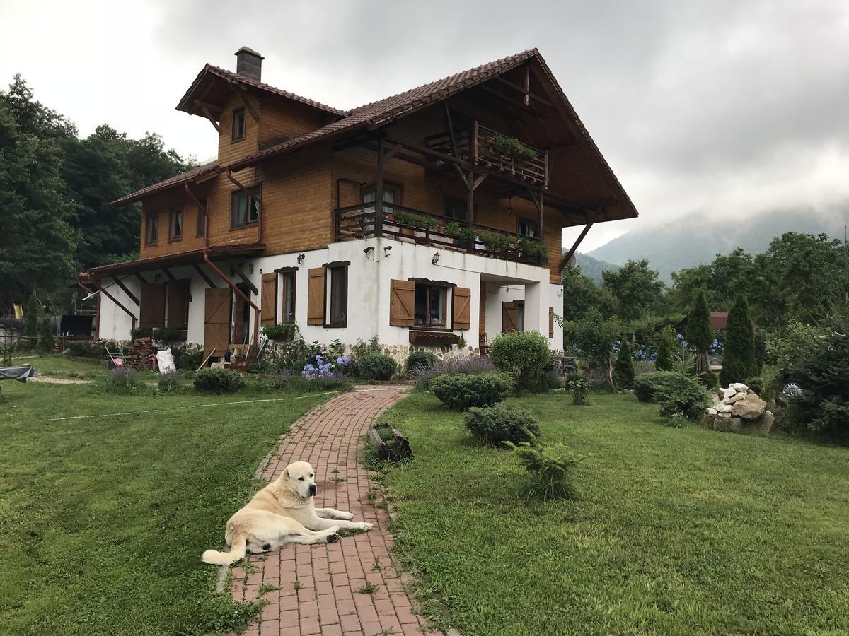 Gasthaus Maria Borlova Esterno foto